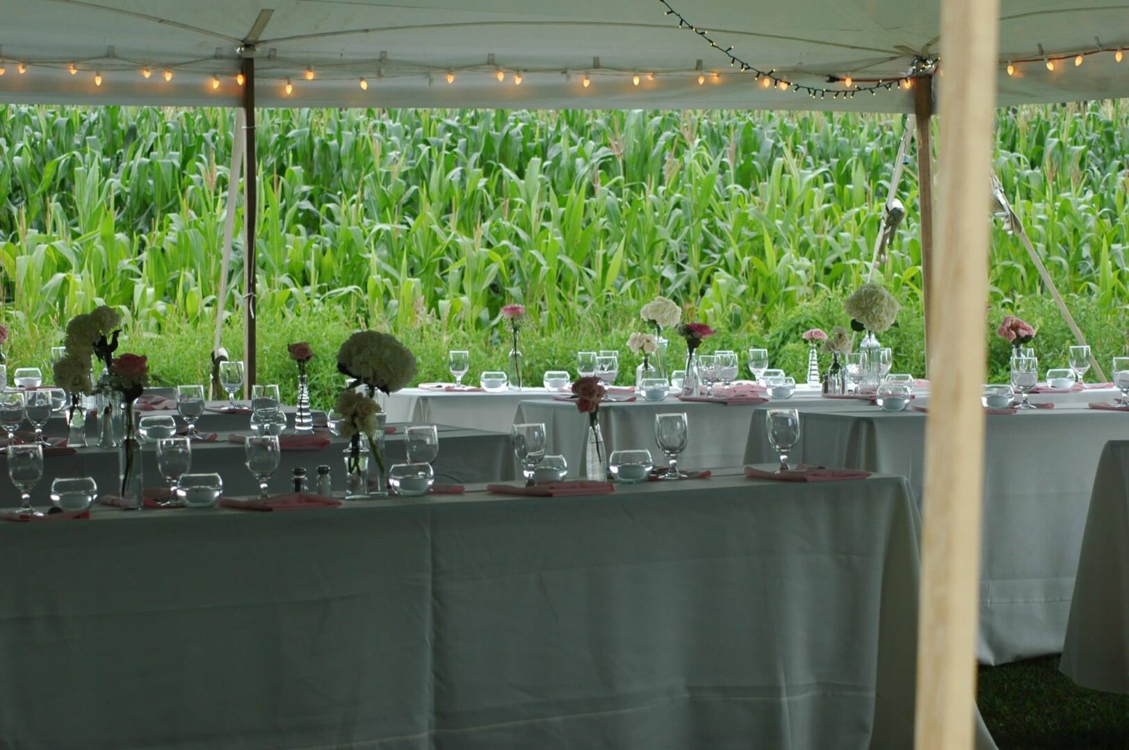 A table with many glasses and plates on it